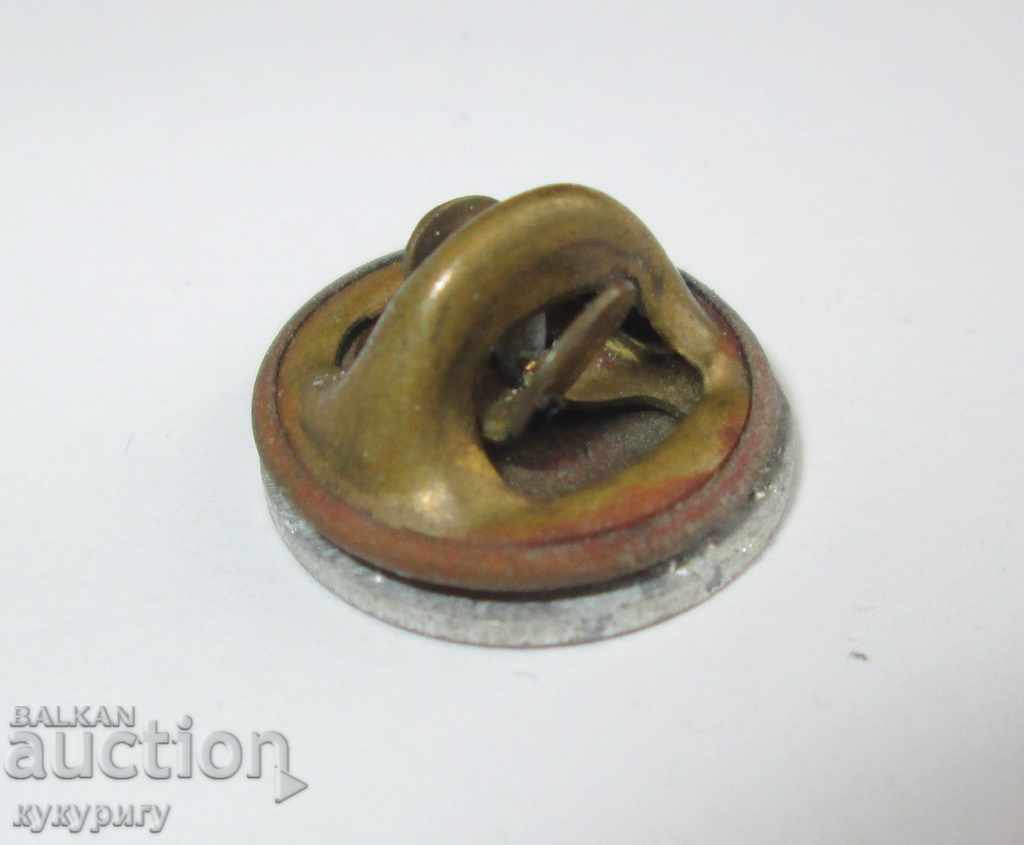 Auction  Badge badge for lapel or hat Boy Scout Boy Scout