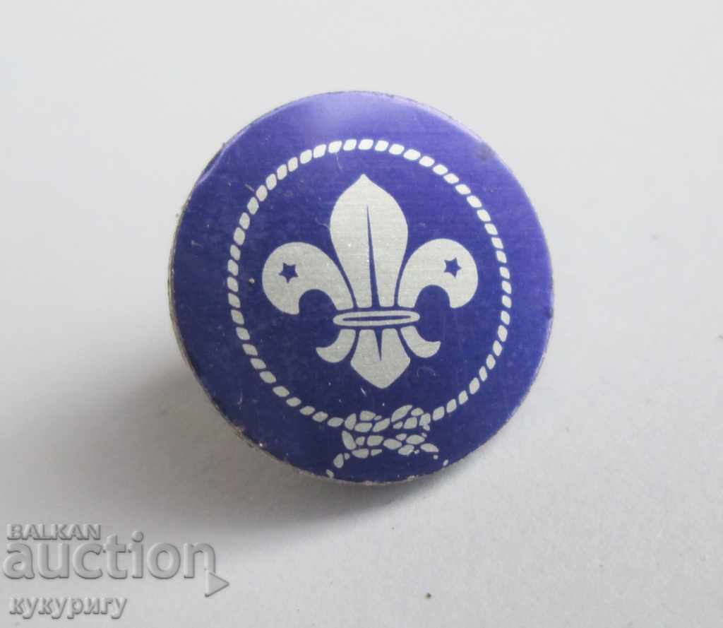 Delivery of Badge badge for lapel or hat Boy Scout Boy Scout