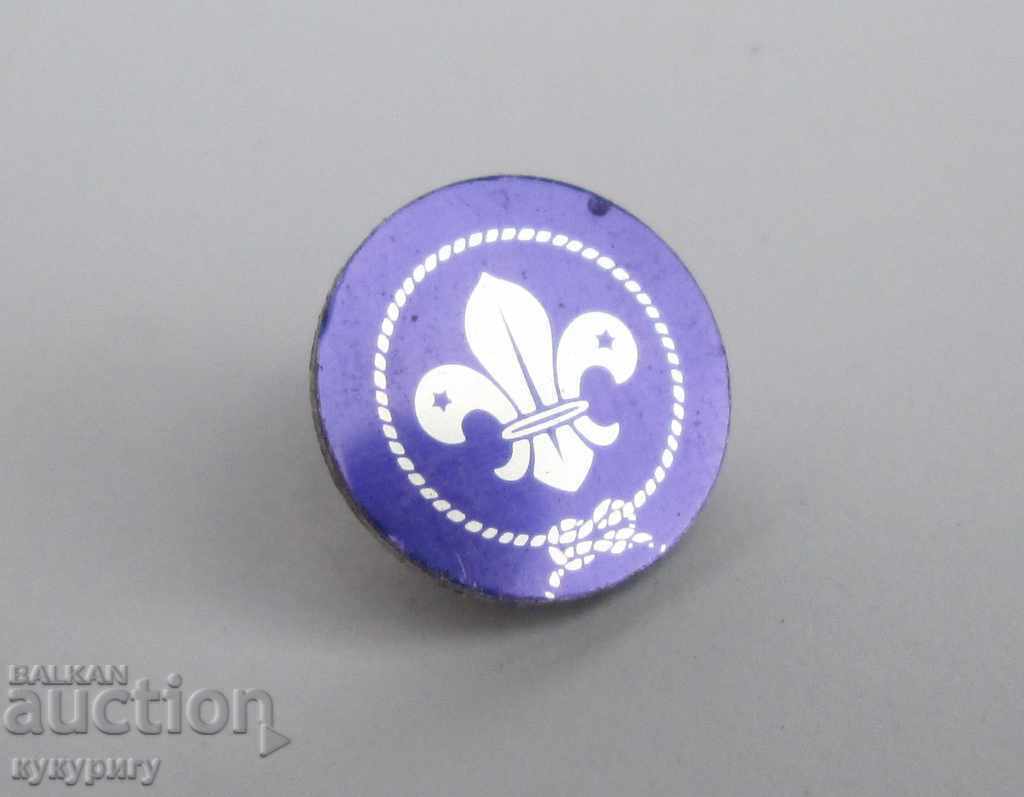Badge badge for lapel or hat Boy Scout Boy Scout