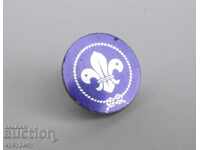Insignă insignă pentru rever sau pălărie Boy Scout Boy Scout