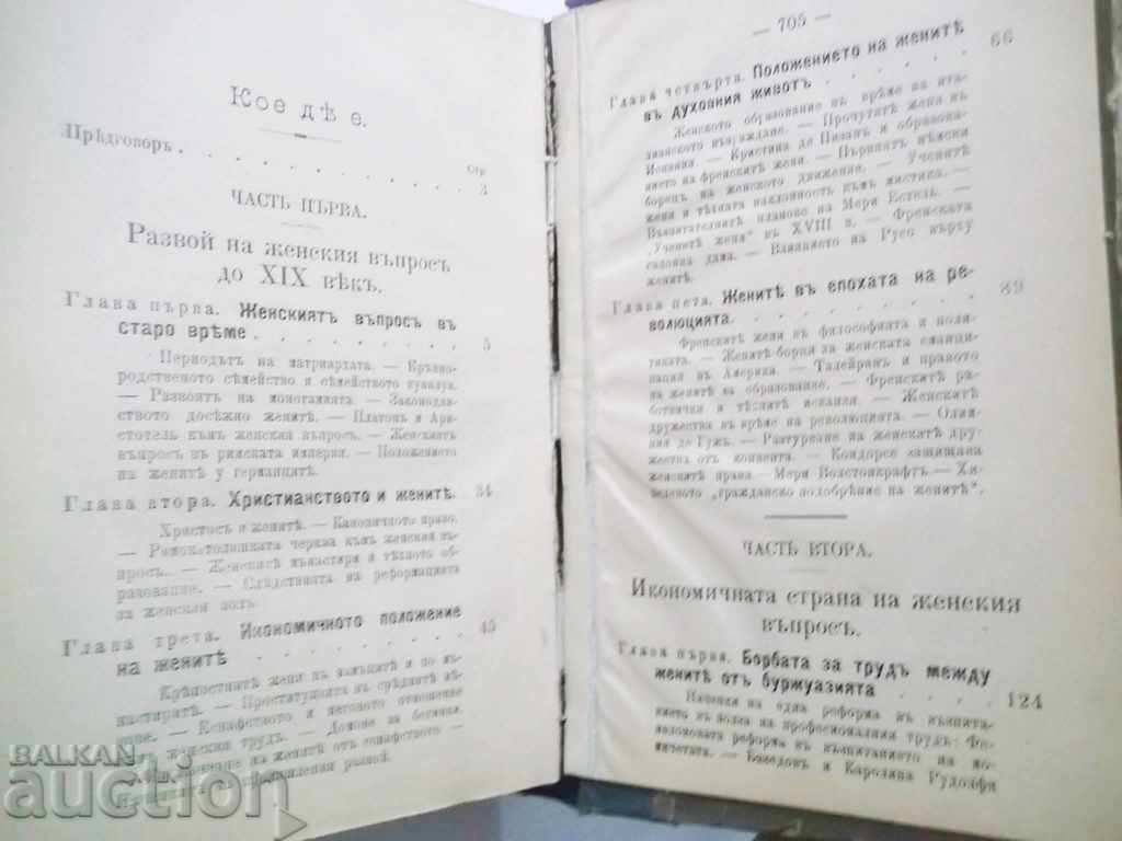 Auction  The Women's Question - Lily Brown 1903