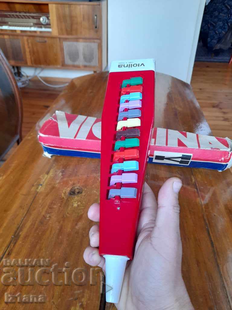 Licitație Vioară Veche, Vioară