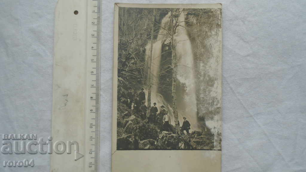 Auction WATERFALL Auction WATERFALL