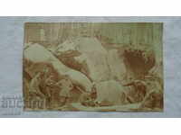 MILITAR - PIETRE - ROCI - PUSCĂ - WW II