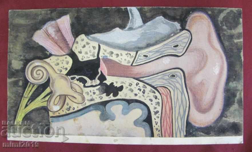 Old Watercolor "Device of the Ear" -Project for Health magazine