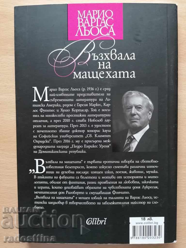 Praise to stepmother Mario Vargas Llosa - 6 Praise to stepmother Mario Vargas Llosa - 6