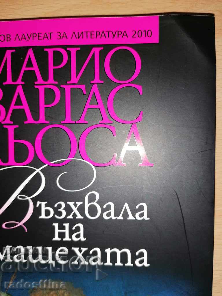 Praise to stepmother Mario Vargas Llosa - 7 Praise to stepmother Mario Vargas Llosa - 7