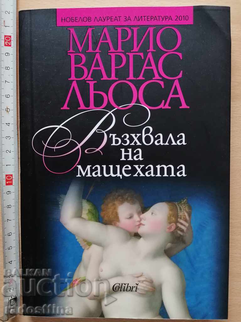 In Praise of the Stepmother by Mario Vargas Llosa