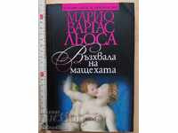 In Praise of the Stepmother by Mario Vargas Llosa