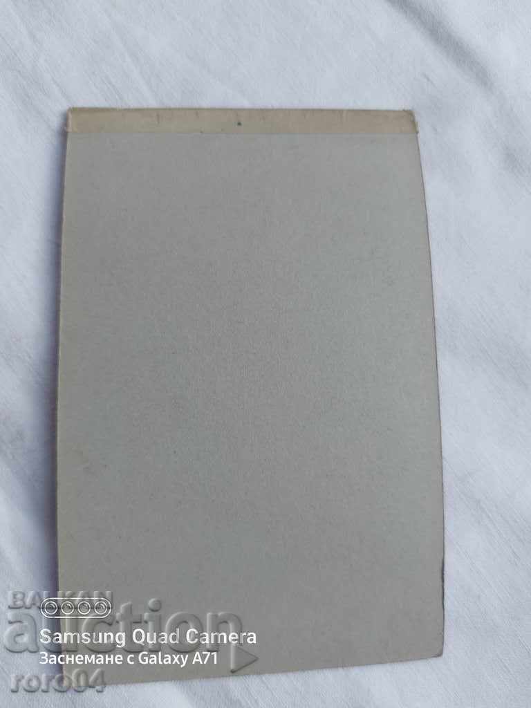 FOTOGRAFIE VECHE - CARTON - NOU - 5