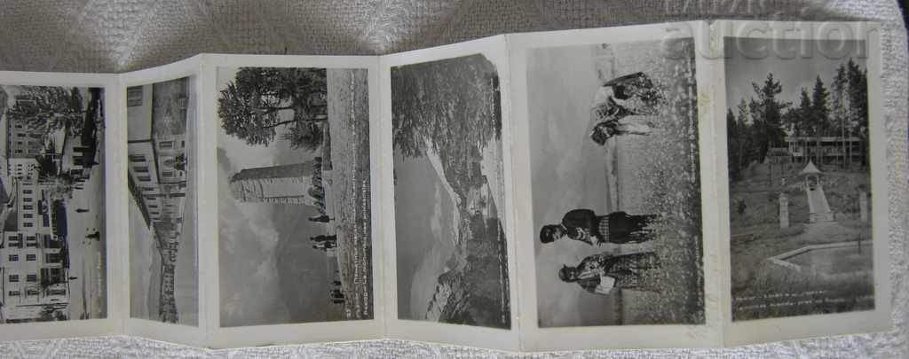 REASON DIPLYANKA PK 1955 - 5 REASON DIPLYANKA PK 1955 - 5