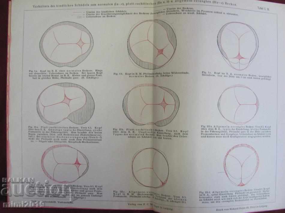 Auction  1913 Medical Book Prof. DR. Richter