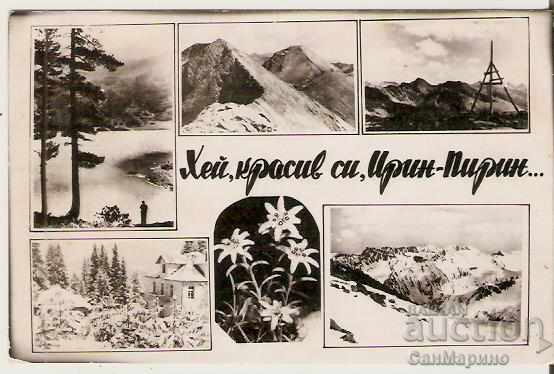 Postcard Bulgaria Pirin Hey, beautiful Irin-Pirin *