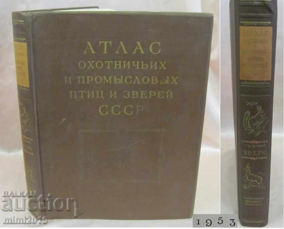 1953 Atlas of Wild Birds and Beasts Volume 2 Russia