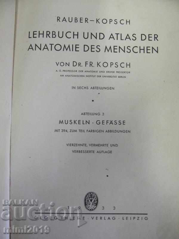 1933 Medical Book Atlas Anatomy 3rd Vol with price 180.00 BGN | € 92.03 1933 Medical Book Atlas Anatomy 3rd Vol with price 180.00 BGN | € 92.03