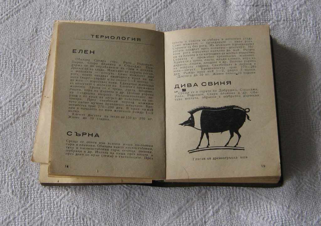 Delivery of BLRS CALENDAR HANDBOOK FOR HUNTERS AND FISHERMEN 1968 Delivery of BLRS CALENDAR HANDBOOK FOR HUNTERS AND FISHERMEN 1968