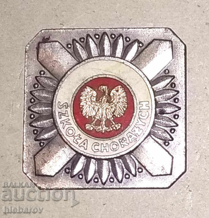 Полша стар полски военен нагръден знак значка