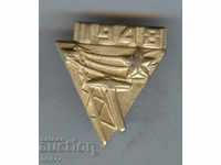 Rare brigadier badge 1948 on screw