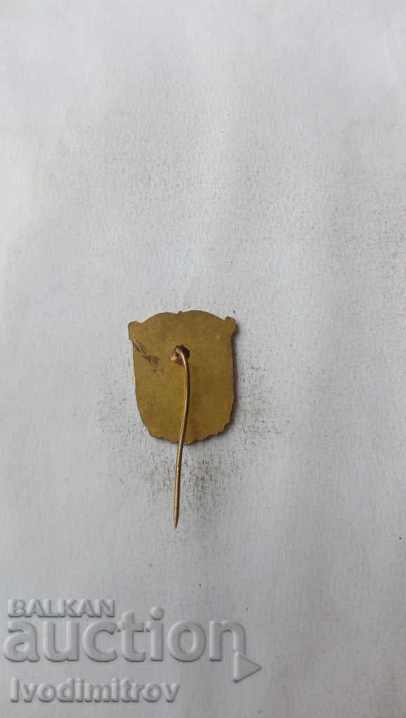 Badge Stara Zagora with price 2.45 BGN | € 1.25