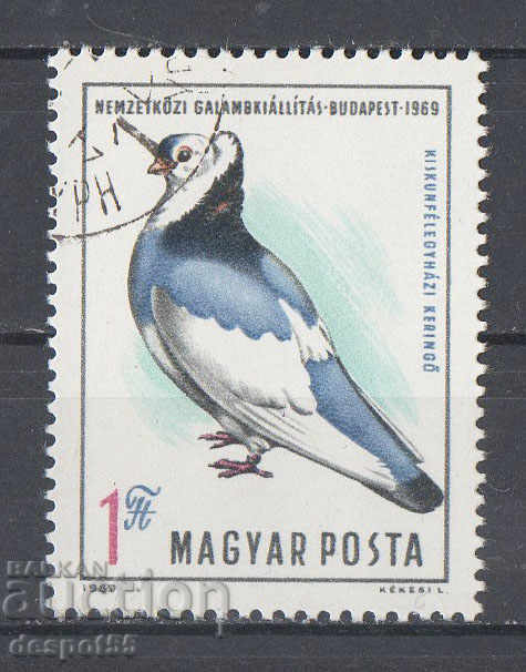 1969. Унгария. Международно шоу за гълъби.