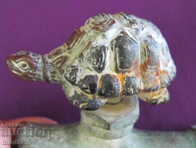 19th century Bronze Turtle for Water Turtle very rare - 6 19th century Bronze Turtle for Water Turtle very rare - 6