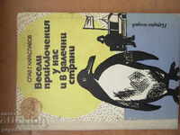 ВЕСЕЛИ ПРИКЛЮЧЕНИЯ У НАС И В ДАЛЕЧНИ СТРАНИ - 1974г.
