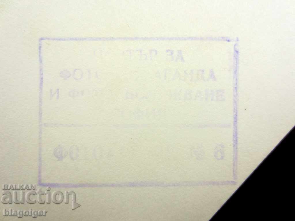 OFFICIAL OLD PHOTO-BRAZIL-BRAZIL-FOOTBALL TEAM with price 5.00 BGN | € 2.56