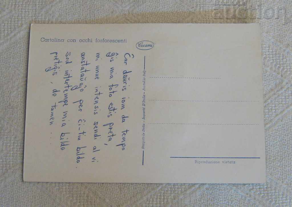 LABRADOR DOG MOVING EYES ITALY CECAMI P.K. - 5