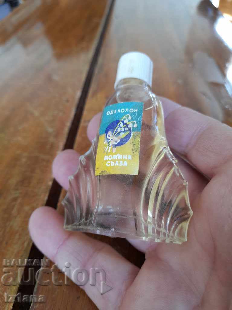 Old Cologne Lily of the Valley - 6 Old Cologne Lily of the Valley - 6