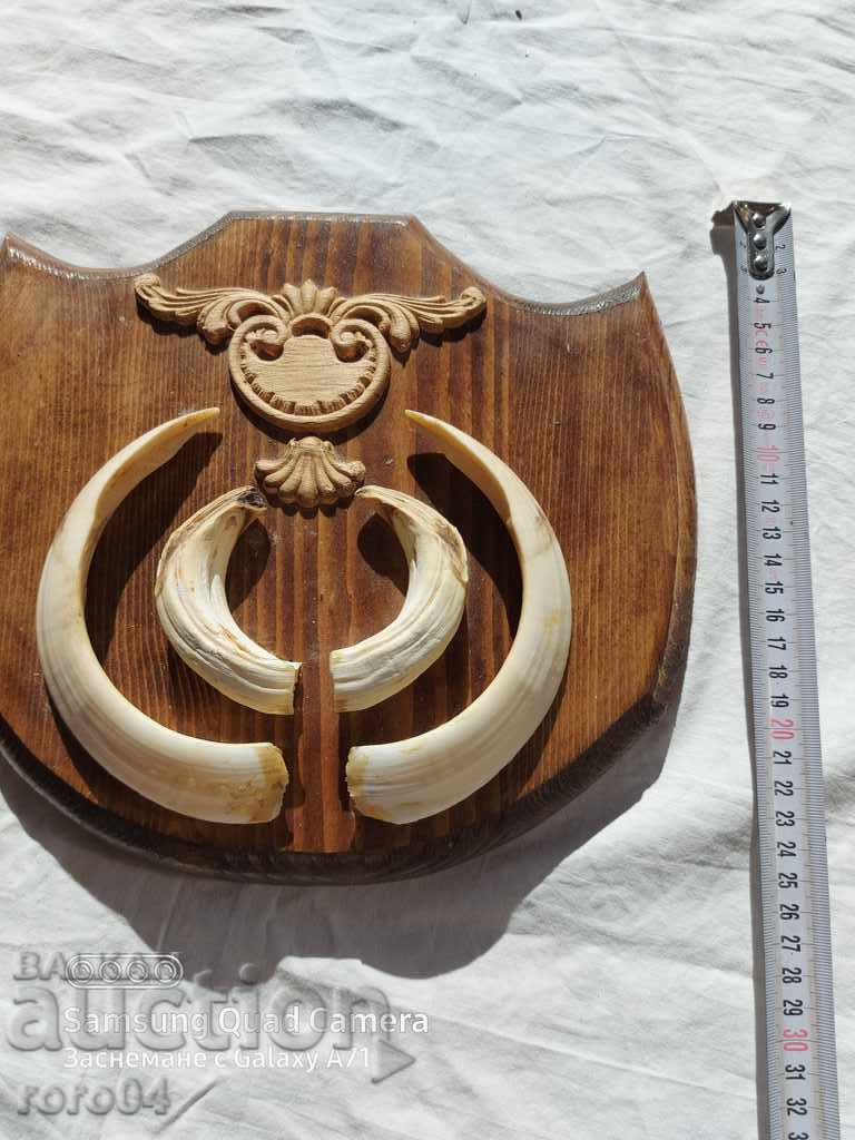 TROPHY with price 195.00 BGN | € 99.70 TROPHY with price 195.00 BGN | € 99.70