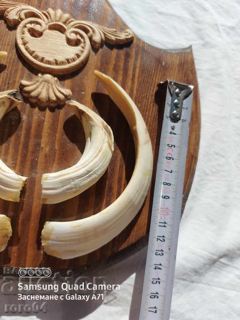 Auction TROPHY Auction TROPHY