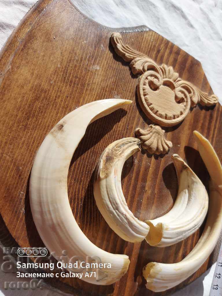 Delivery of TROPHY Delivery of TROPHY