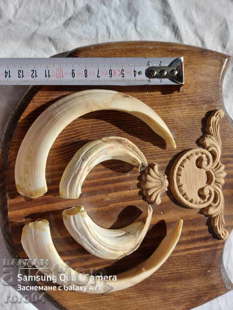 TROPHY - 5 TROPHY - 5