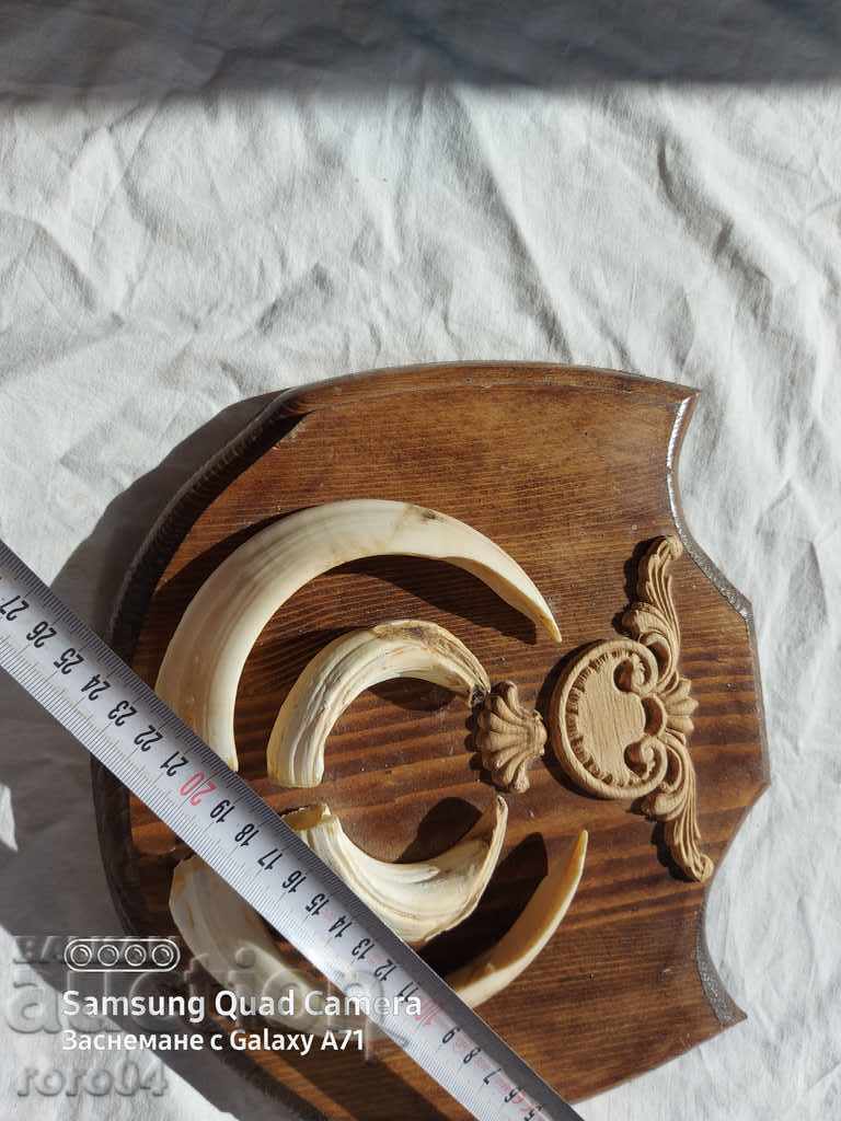 trofeu - 6 trofeu - 6