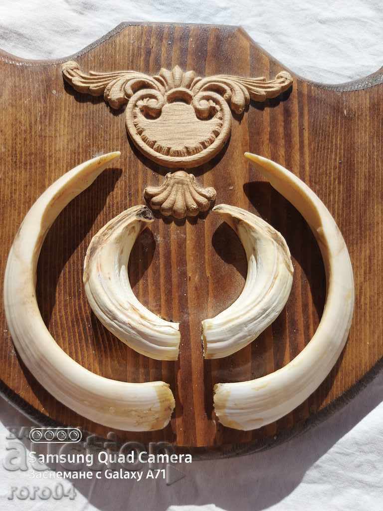 TROPHY - 7 TROPHY - 7