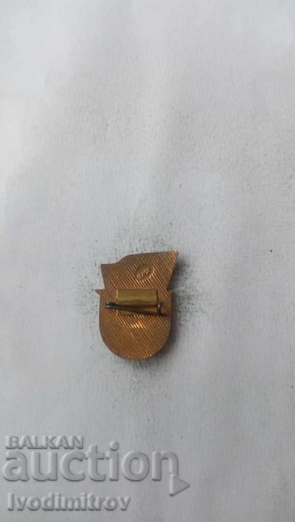 Badge Warrior-athlete III degree with price 3.65 BGN | € 1.87 Badge Warrior-athlete III degree with price 3.65 BGN | € 1.87