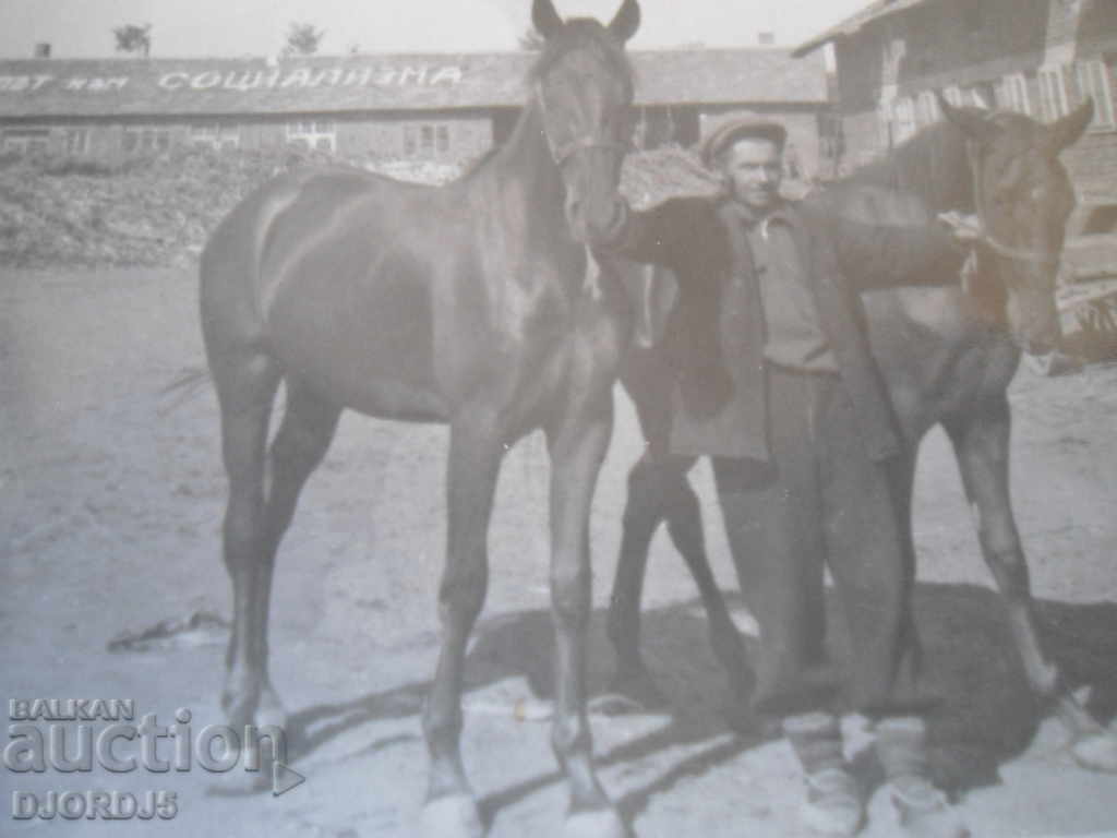 Old card - picture with price 1.00 BGN | € 0.51 Old card - picture with price 1.00 BGN | € 0.51