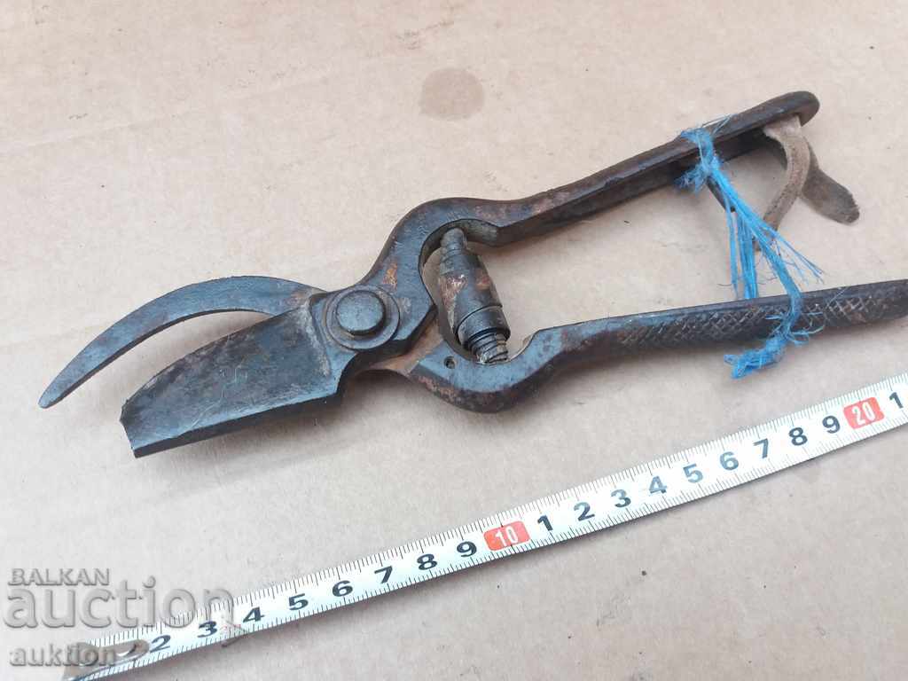 Delivery of OLD VINEYARD SCISSORS - WORKING, SOLID IRON Delivery of OLD VINEYARD SCISSORS - WORKING, SOLID IRON
