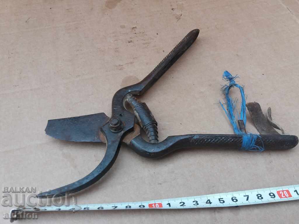 OLD VINEYARD SCISSORS - WORKING, SOLID IRON - 7 OLD VINEYARD SCISSORS - WORKING, SOLID IRON - 7