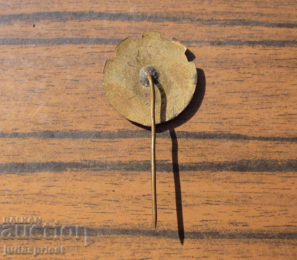 Παράδοση Βουλγαρικό ιατρικό σήμα ιατρικό σήμα Rab. Νοσοκομείο Παράδοση Βουλγαρικό ιατρικό σήμα ιατρικό σήμα Rab. Νοσοκομείο