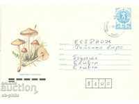 Envelope - Mushrooms - Chelyadinka