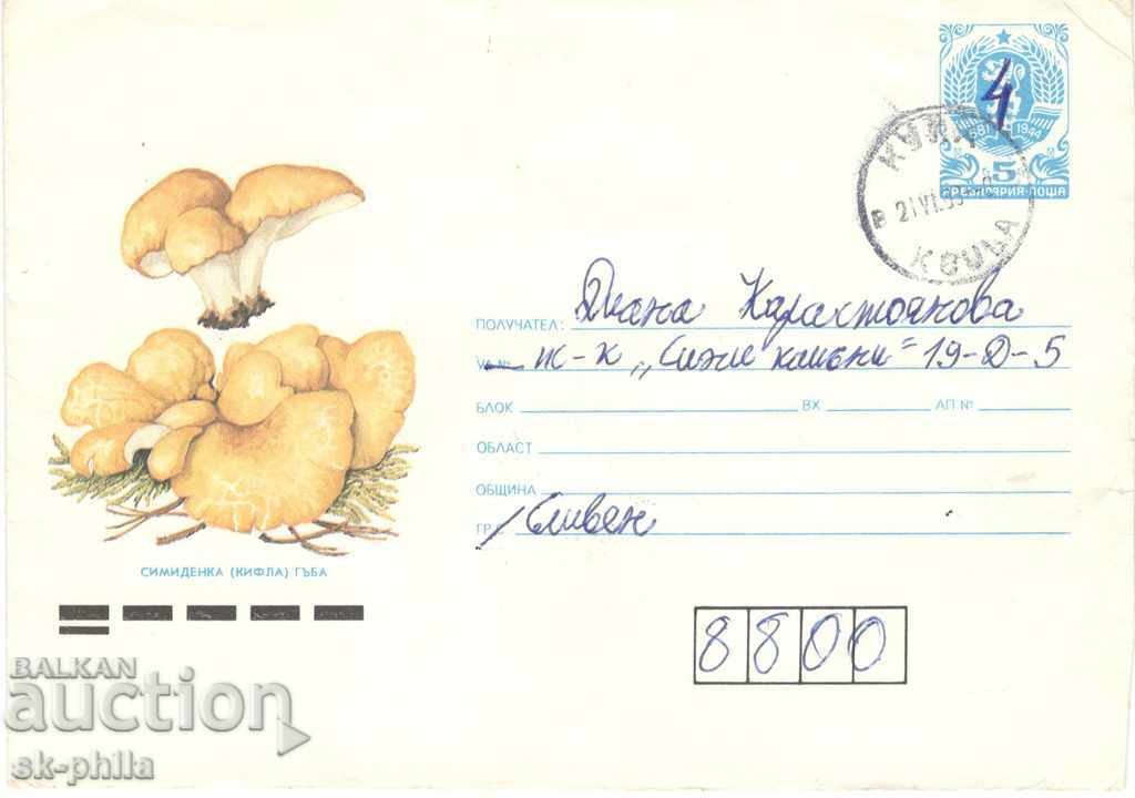 Envelope - Mushrooms - Simidenka / muffin /