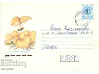 Envelope - Mushrooms - Simidenka / muffin /