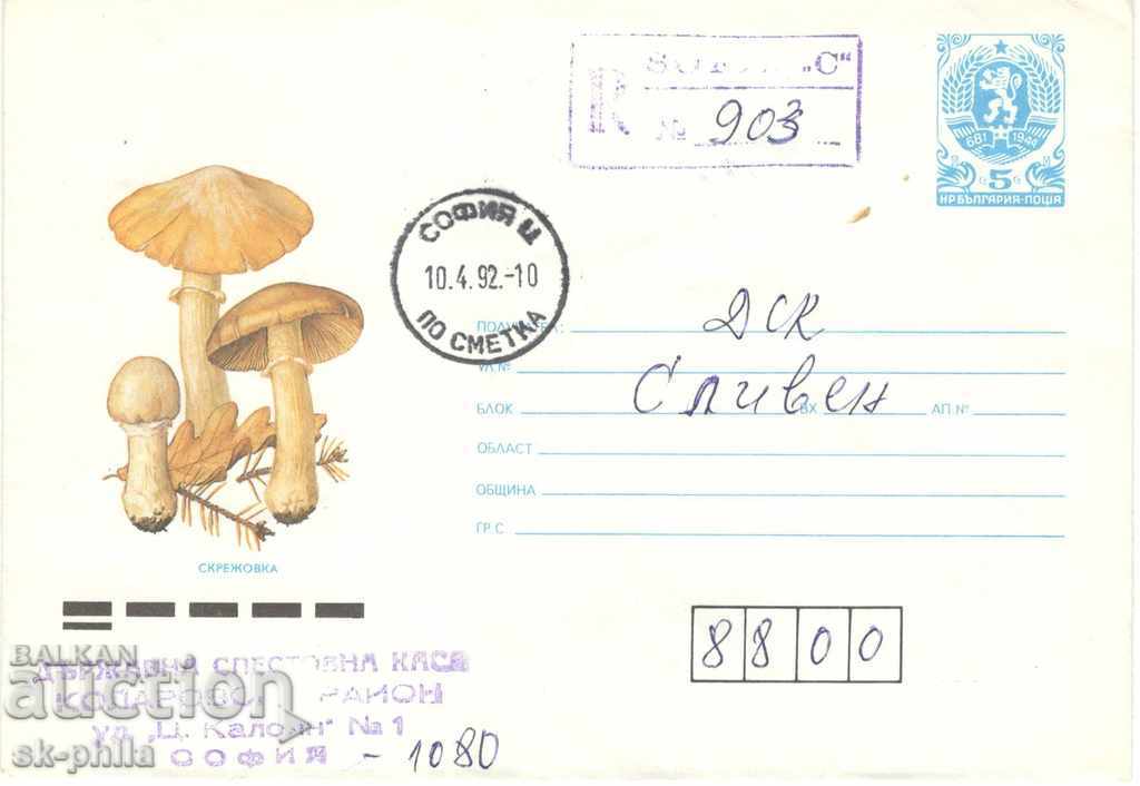 Envelope - Mushrooms - Frosting