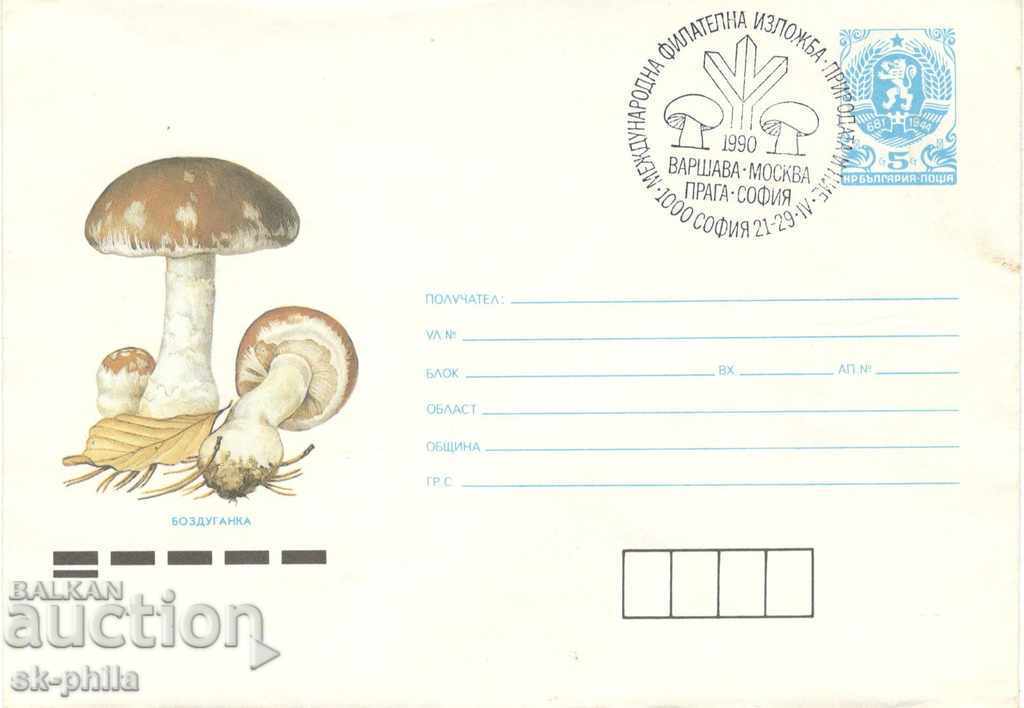Envelope - Mushrooms - Cucumber