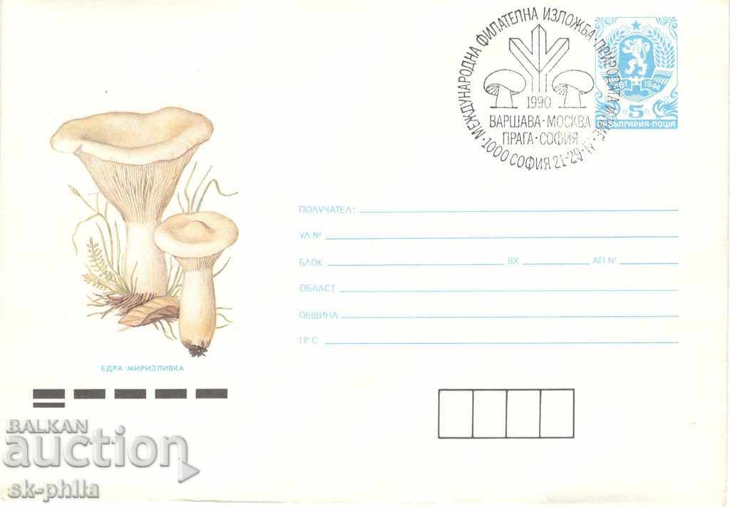 Envelope - Mushrooms - Smell