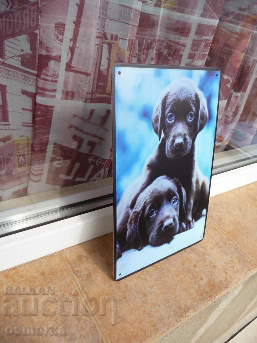 Metal sign dog dogs puppies pallet cute puppies cute with price 18.00 BGN | € 9.20 Metal sign dog dogs puppies pallet cute puppies cute with price 18.00 BGN | € 9.20