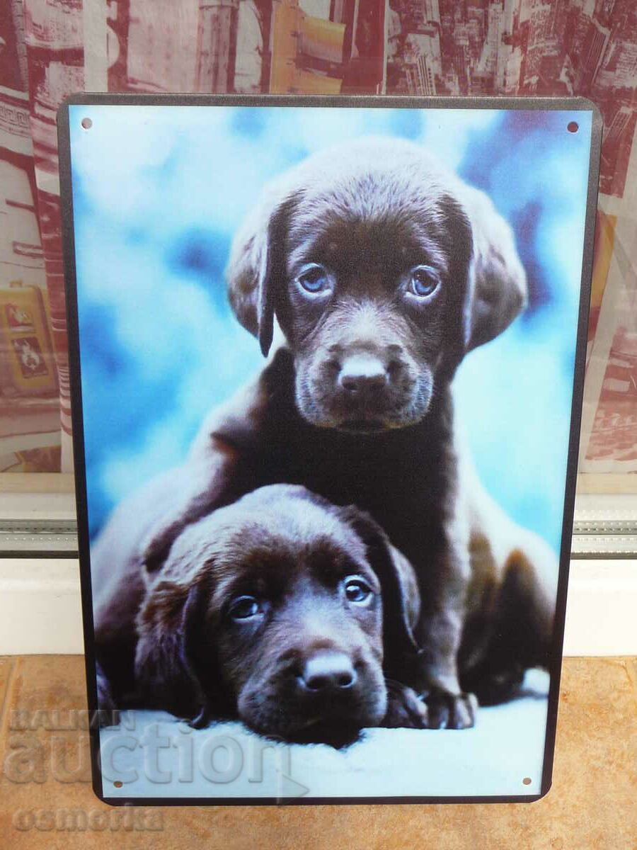 Μεταλλική πινακίδα σκύλος σκύλος κουτάβια παλέτα χαριτωμένα κουτάβια χαριτωμένα