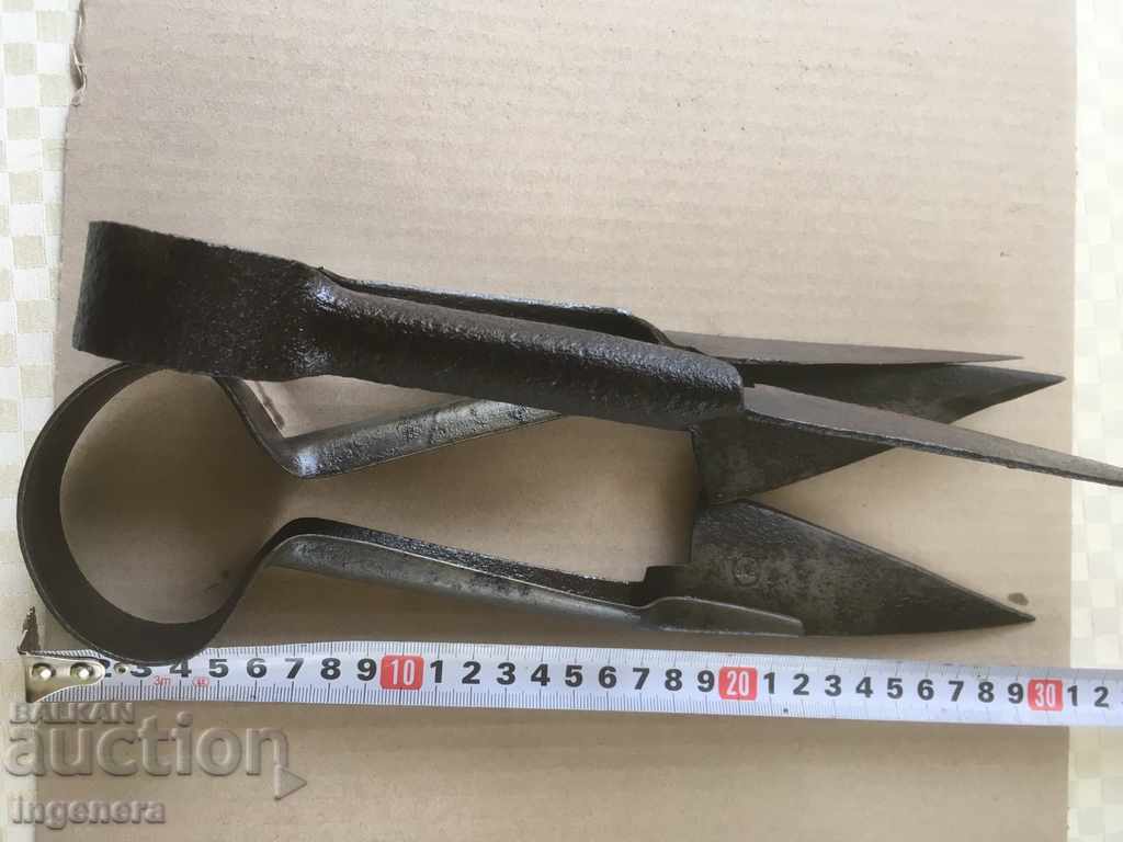 Auction  SHEEP CUTTING SCISSORS-2 PCS