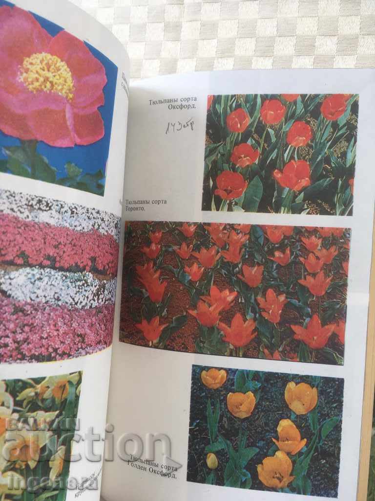 BOOK-GUIDE FOR FLOWERS-RUSSIAN-1983 with price 11.00 BGN | € 5.62 BOOK-GUIDE FOR FLOWERS-RUSSIAN-1983 with price 11.00 BGN | € 5.62